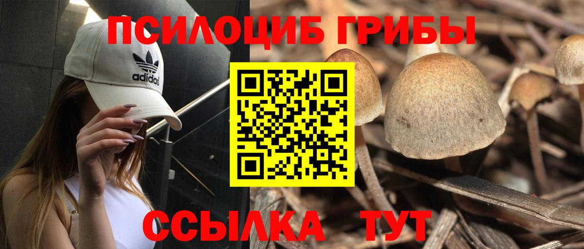 Серов  Галлюциногенные грибы MAGIC MUSHROOMS  Псилоцибиновые грибы Psilocybe  Вход с VPN 